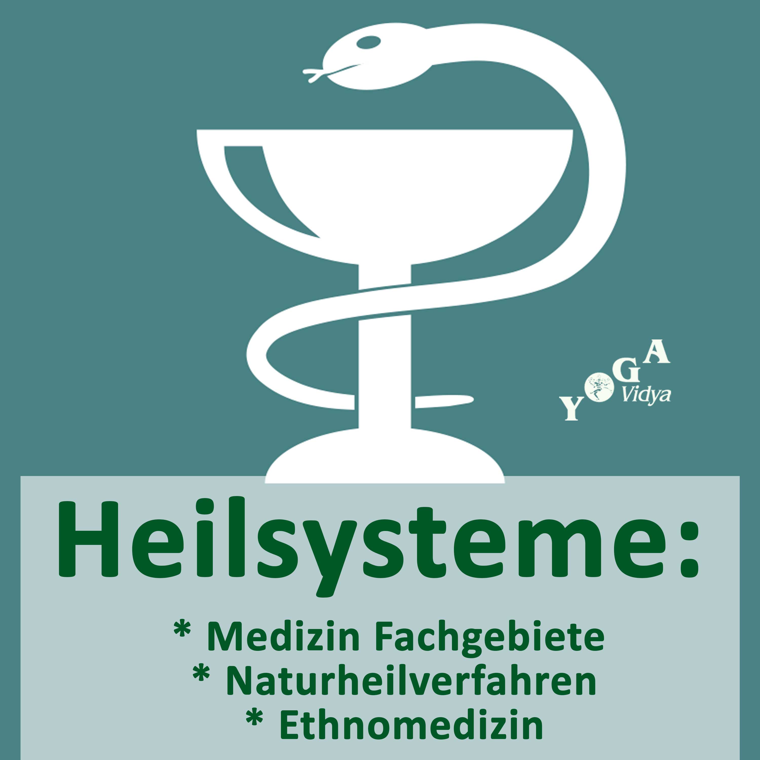 Heilsysteme: Medizin Fachgebiete, Naturheilverfahren, Ethnomedizin Podcast artwork