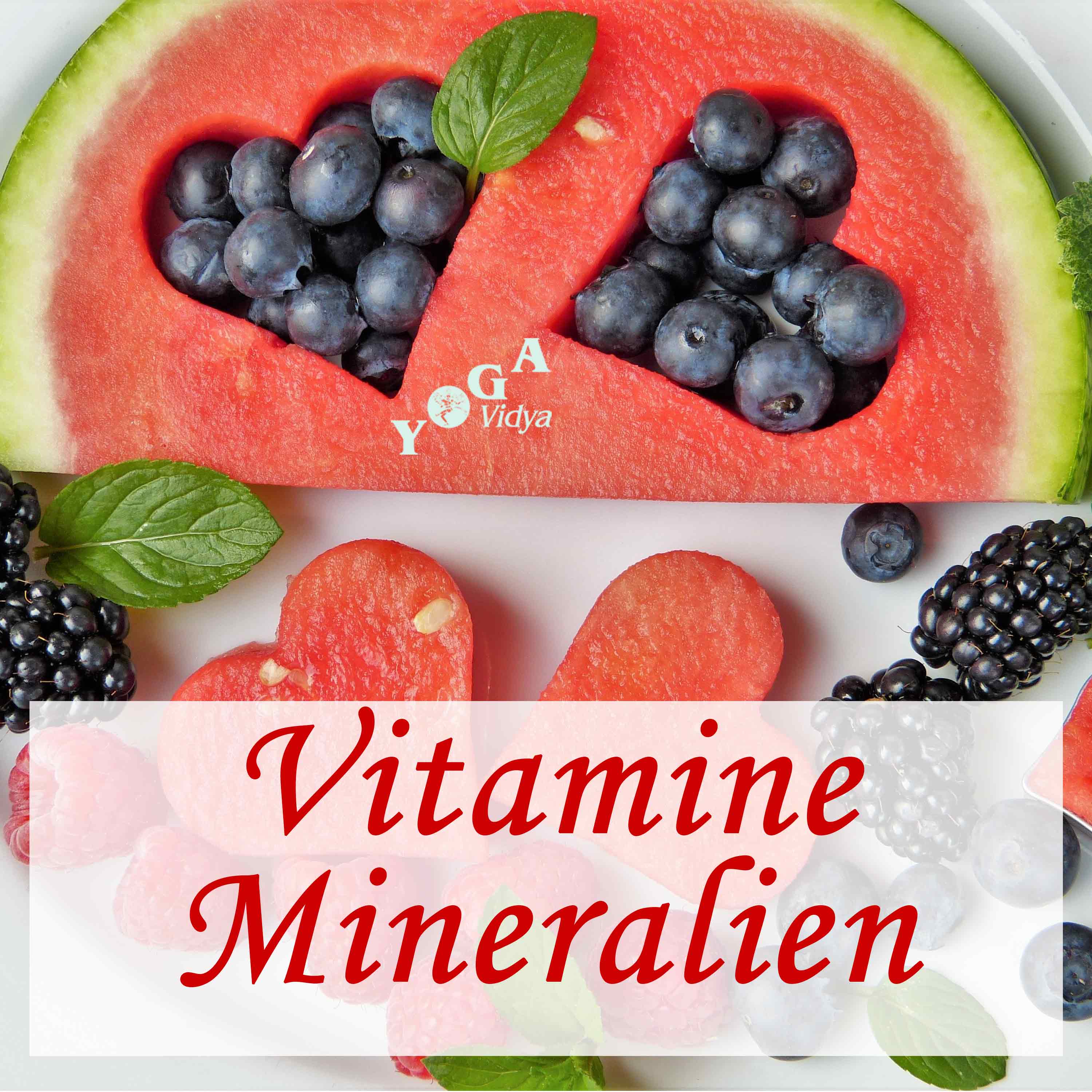 Vitamine, Mineralien und Spurenelemente Podcast artwork